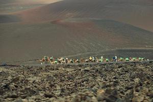 orignal volcanic landscapes from the Spanish island of Lanzarote photo