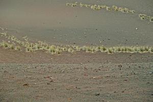 orignal volcanic landscapes from the Spanish island of Lanzarote photo