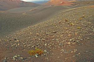 orignal volcanic landscapes from the Spanish island of Lanzarote photo