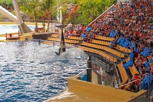 a show of black and white mammals in the zoo photo