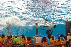 a show of black and white mammals in the zoo photo