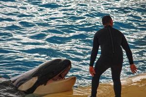 a show of black and white mammals in the zoo photo