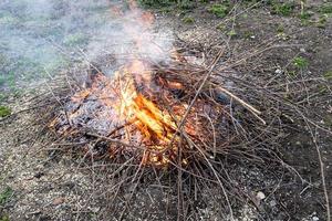 burning pruned branches and twigs of fruit trees photo