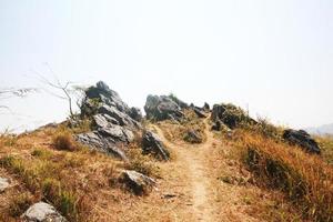 Landscape of The rocky and dry grassland on the valley mountain at Doi Pha Tang hill in Thailand photo