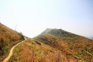 Natural footpath and dry grassland on the mountain at Doi Pha Tang hill in Thailand photo