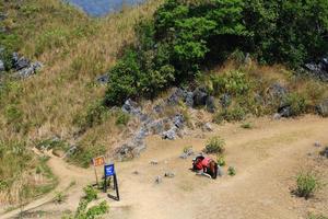 Shepherd is Tribal and brown horse sitting and relax on Doi Pha Tang mountain. photo