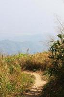 Natural footpath and dry grassland on the mountain at Doi Pha Tang hill in Thailand photo