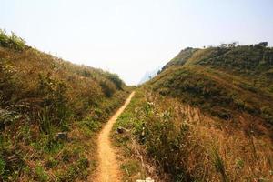 Natural footpath and dry grassland on the mountain at Doi Pha Tang hill in Thailand photo