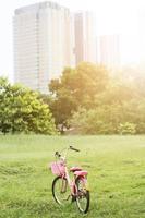 Clásico rosado bicicleta estacionamiento en césped campo en jardín con hermosa natural luz de sol foto