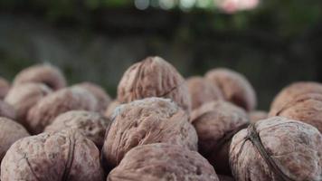 Walnuts are gathering together, walnuts come together in the basket and are prepared for use, selective focus video