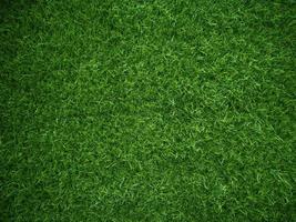 Green grass texture background grass garden concept used for making green background football pitch, Grass Golf, green lawn pattern textured background... photo