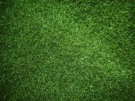 Green grass texture background grass garden concept used for making green background football pitch, Grass Golf, green lawn pattern textured background... photo