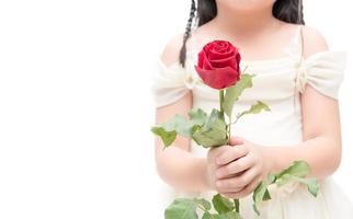 red rose in little hand girl isolated photo