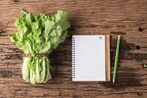 fresh chinese cabbage with blank notebook. photo