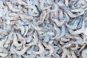 Fresh prawns at fish market in Chonburi, Thailand photo