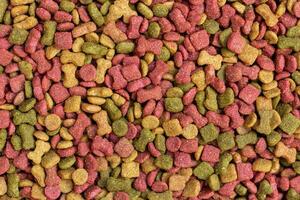 detail of dry dog food background photo