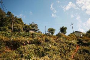 el eléctrico cables es situado en el montaña y bosque a campo en Tailandia foto