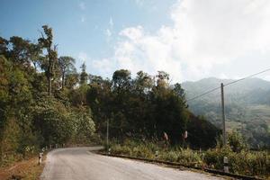 amarillo firmar etiqueta advertencia de curva la carretera en el montaña en Tailandia foto