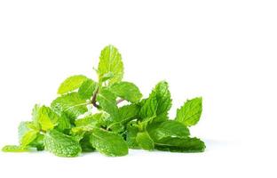 Mint leaves isolated on white background photo