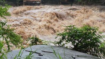 Waterfall cataract in forest mountains. Dirty streams are flowing down the mountain slopes of the mountain forest after heavy rains in Thailand. River flood, selective focus. video