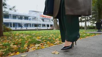 femme d'affaires de belles jambes méconnaissable en chaussures à talons hauts et pantalon large marcher le long de l'allée le jour d'automne nuageux. femme d'affaires élégante marchant dans le parc d'automne. gros plan, ralenti. video