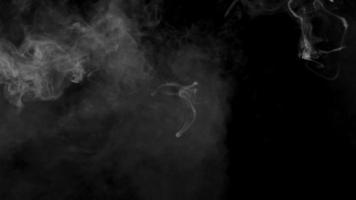 branco fumaça formando abstrato textura, névoa, vapor, livre imagens de vídeo, Boa para etapa fundo, sobreposição ou textura para videos