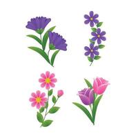 multicolor spring flower collection vector