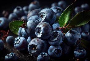 illustration of background of the fresh blueberries, copy space photo