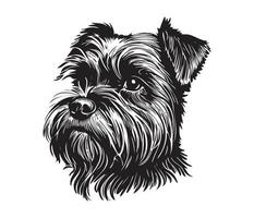 affenpinscher rostro, siluetas perro rostro, negro y blanco affenpinscher vector