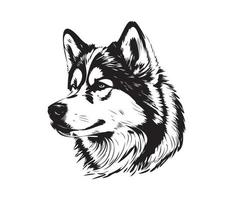 Alaskan Malamute Face, Silhouettes Dog Face, black and white Alaskan Malamute vector