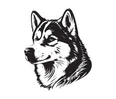 Alaska malamute rostro, siluetas perro rostro, negro y blanco Alaska malamute vector