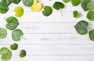 pattern heart shaped green leaf on white wood background photo