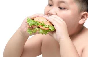 pork hamburger on obese fat boy hand background isolated photo