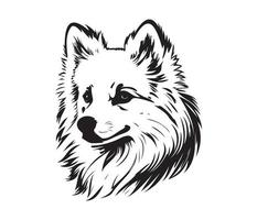 American Eskimo Dog Face, Silhouettes Dog Face, black and white American Eskimo Dog vector