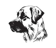 Anatolian Shepherd Face, Silhouettes Dog Face, black and white Anatolian Shepherd vector