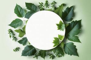 Empty white summer and spring nature background with fresh green leaves and circle frame, generate ai photo