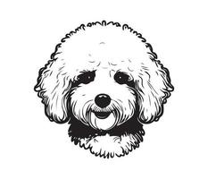 bichón frise rostro, silueta perro rostro, negro y blanco bichón frise vector