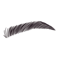 Black Perfect Eyebrow Drawing png