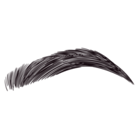 Black Eyebrow Drawing png