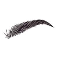 Black Eyebrow Drawing png