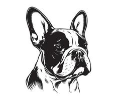 francés buldog rostro, silueta perro rostro, negro y blanco francés buldog vector