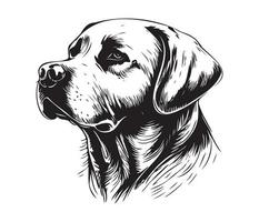 Labrador Retriever Face, Silhouette Dog Face, black and white Labrador Retriever vector