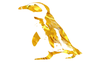 movimento di carino pinguino png