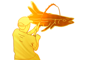 Fishing is the activity of trying to catch fish png