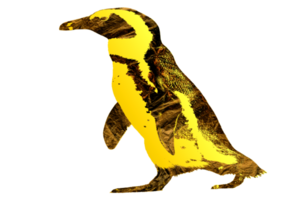 beweging van schattig pinguïn png