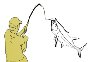 Fishing is the activity of trying to catch fish png