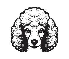 Poodle Face, Silhouette Dog Face, black and white Poodle vector
