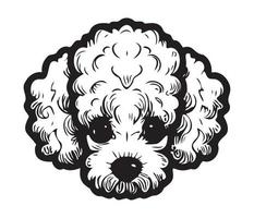caniche rostro, silueta perro rostro, negro y blanco caniche vector