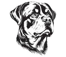 Rottweiler Face, Silhouette Dog Face, black and white Rottweiler vector