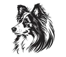 Shetland perro pastor rostro, silueta perro rostro, negro y blanco Shetland perro pastor vector